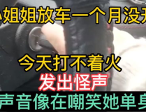 卖车小姐姐发出怪声视频,这是什么新型营销手段？