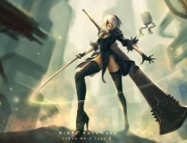 2B小姐姐 磁力,揭秘二次元魅力背后的磁力世界